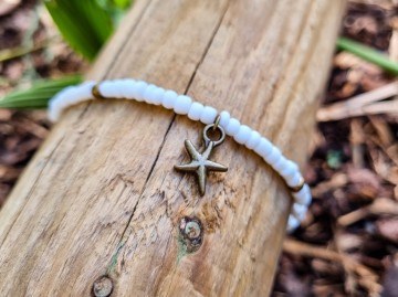 Enkelbandje - Asterias asterias01