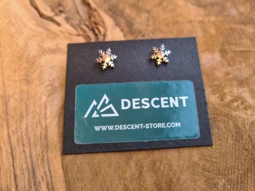 Oorbellen sneeuwvlok in zilver