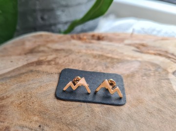 Oorbellen - Andes [rose]