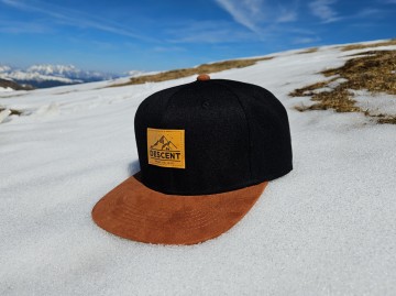 DESCENT Snapback cap - Black/Brown Suede