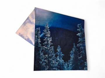 Nekwarmer - Winter sight