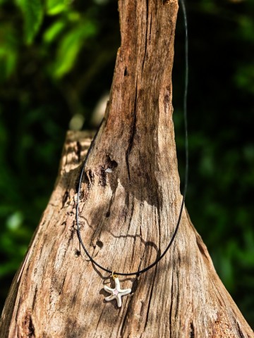 Dames ketting - Seastar Bliss